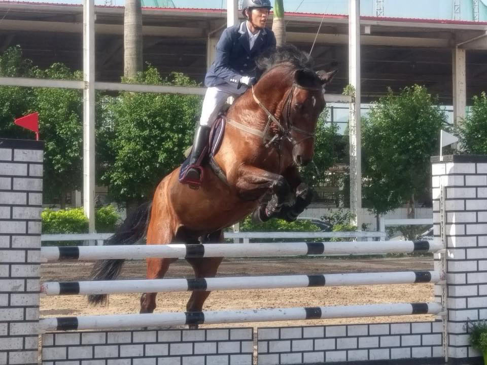 三春馬場活動花絮